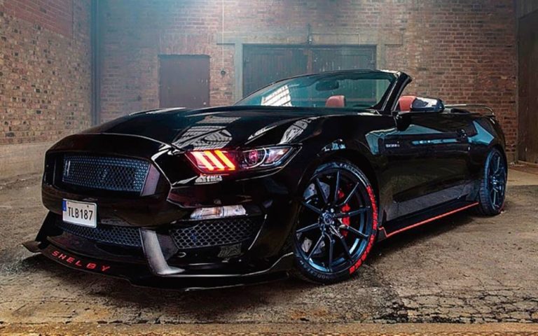 Bildgalleri Sweden Mustang